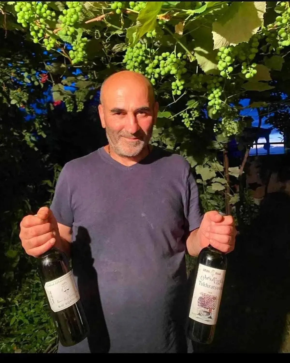 La cantina Nonias Marani in Kakheti, vinificazione in qvevri