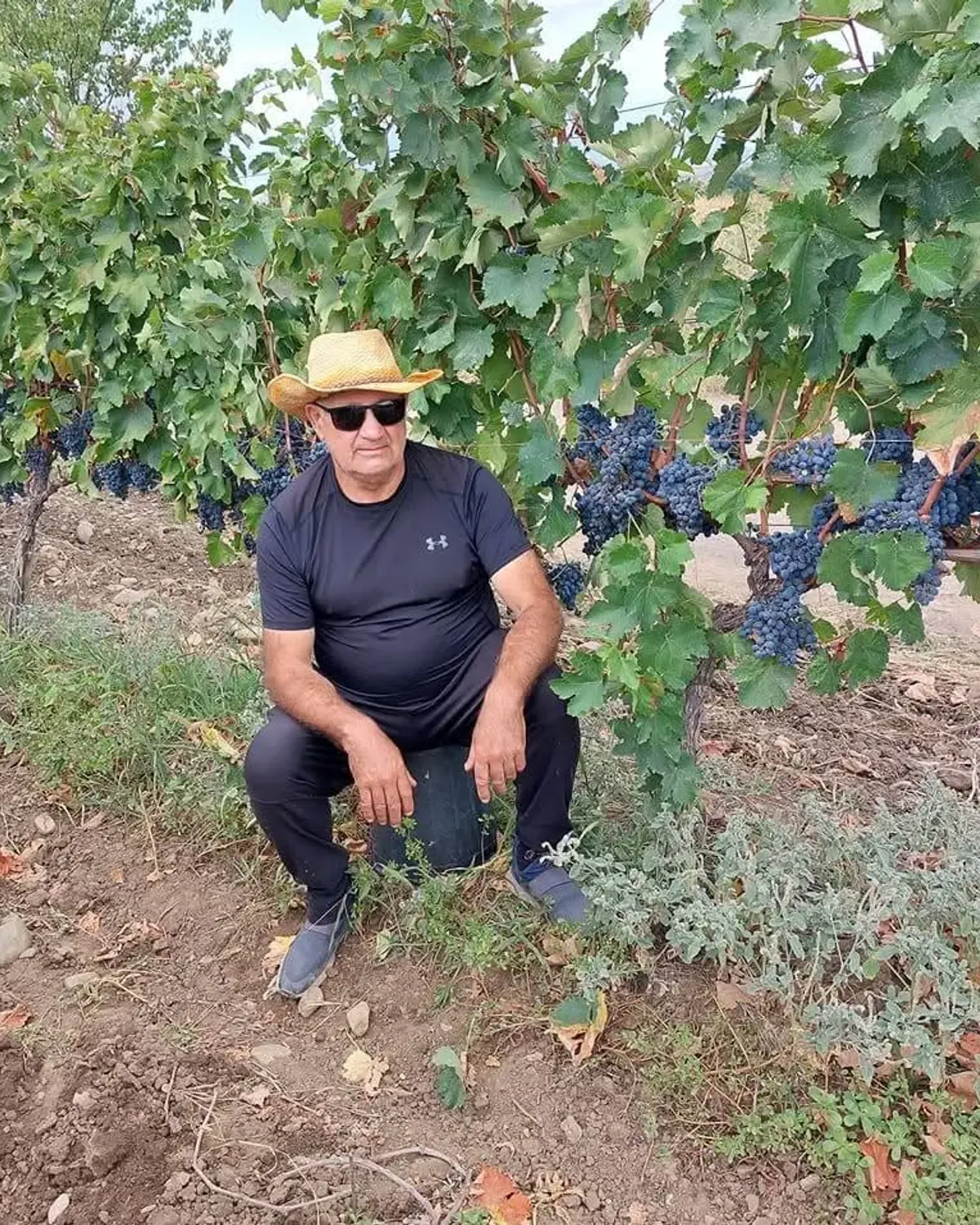 La cantina Raberi Marani in Kakheti, vinificazione in qvevri